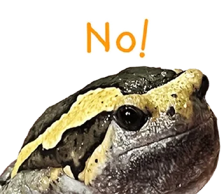 Video sticker 😂 @JKSSTIK30