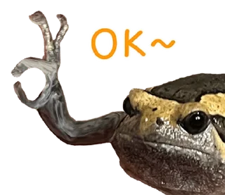 Telegram sticker 😂 @JKSSTIK30