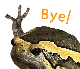 Telegram sticker 😂 @JKSSTIK30