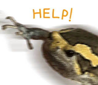 Telegram sticker 😂 @JKSSTIK30