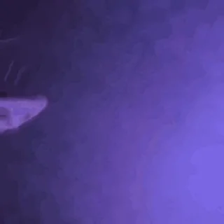 Video sticker 🍞 귀여운 애옹스콘 3 by @KiyoBot_bot