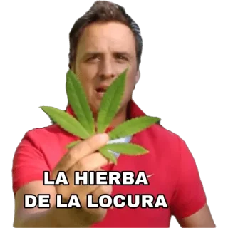 Video sticker 🏉 Dicky del Solar
