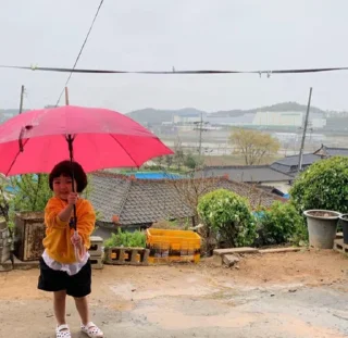 Video sticker ☂️ biubiu