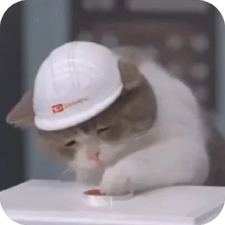 Telegram sticker 🫥 Honu