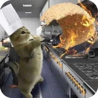 Video sticker 🫥 Honu