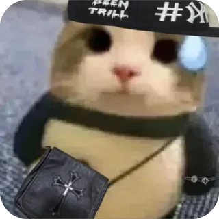 Telegram sticker 🫥 Honu