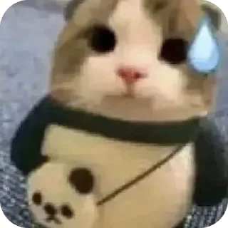 Video sticker 🫥 Honu