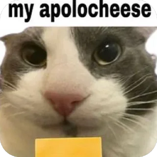 Telegram sticker 🫥 Honu