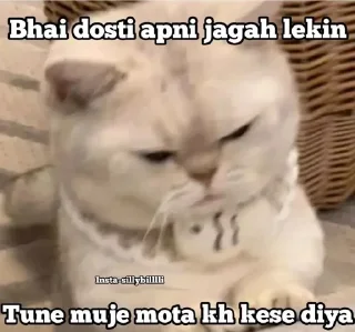 Video sticker 🃏 Kennys kang pack