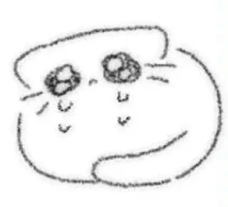 Video sticker 🌟 可爱猫咪小玲玲@TaoZicoffee :: @fStikBot