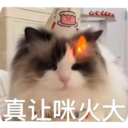 Sticker 🐱 💖@xiaosaAAA