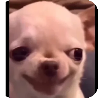 Video sticker 😀 @Rtdglss