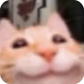 Telegram sticker ☺ Kitiki