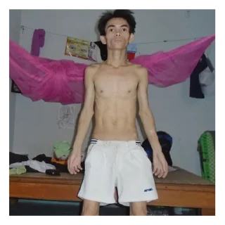 Video sticker ✋ JULES STICKER EMPORIUM