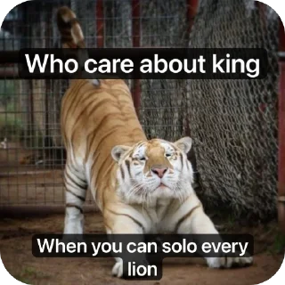 Telegram sticker 🫥 Tiger rules the world