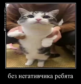 Video sticker 🌟 Бухехехехе😈😈😈 :: @fStikBot