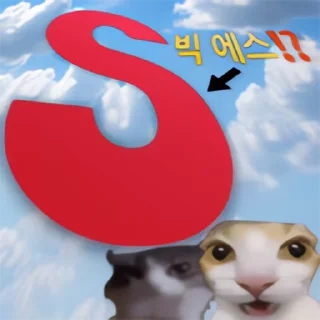 Video sticker 👻 내가쓸고양이콘 @DCConSticker