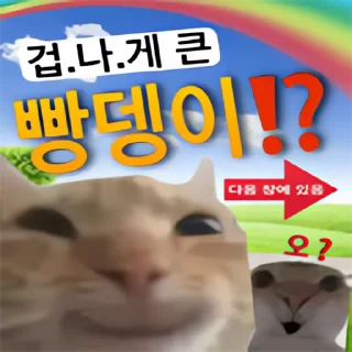 Video sticker 👻 내가쓸고양이콘 @DCConSticker