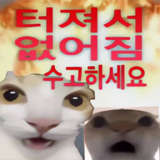 Video sticker 👻 내가쓸고양이콘 @DCConSticker
