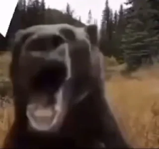 Telegram sticker 🤩 🪠