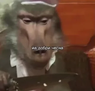 Video sticker 🌟 Бибизянки 4 > @bibizyankii