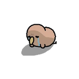 Telegram sticker ⭐ 키위새 한마리 데려가세요~ 12 @moe_sticker_bot