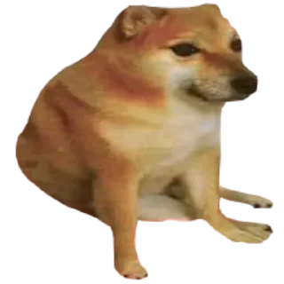 Телеграм стикер 👶 Van's Sticker Pack