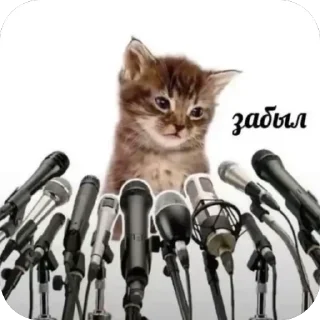 Telegram sticker 🫥 так надо