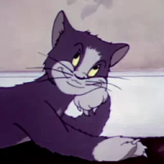 Video sticker 😏 @u2uuu