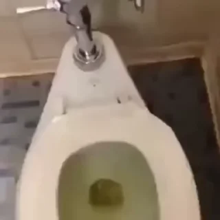 Video sticker ♿ батон :: @fStikBot