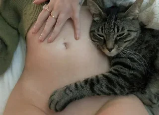 Telegram sticker 🌟 @WhitedoveAscendling