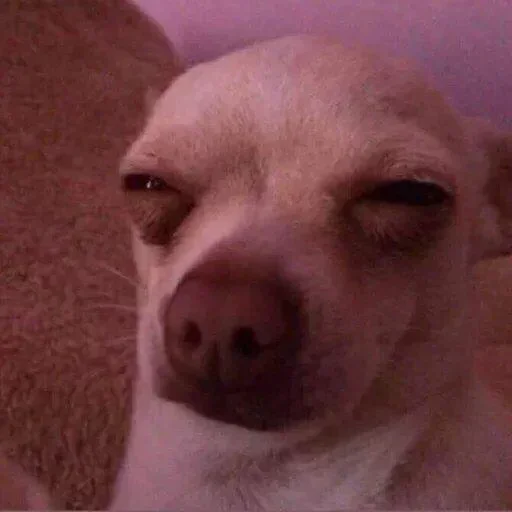 Telegram sticker 😑 مرتـضى | SON