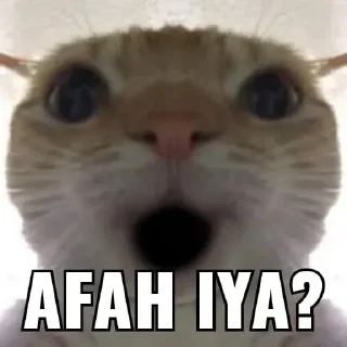 Telegram sticker 😱 ZXC743's kang pack