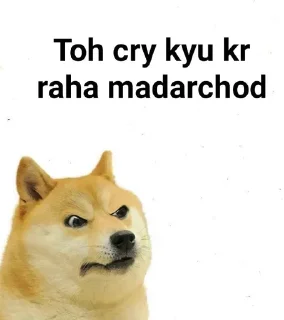 Telegram sticker 🤔 Birbihari