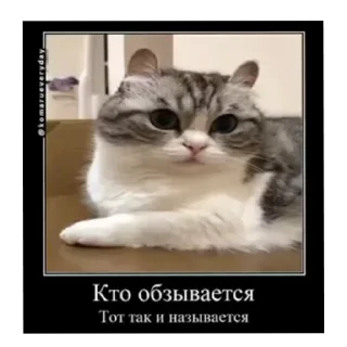Telegram sticker 😶 Комаруу