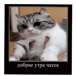 Telegram sticker 🥰 Комаруу
