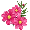 Sticker 🌺 عبد الجميل
