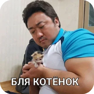 Video sticker 😺 Бля Ма Дон-Сок @ma_dong_seog