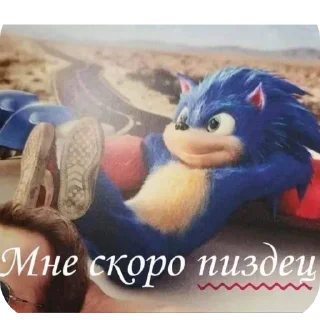 Video sticker 🐦 Пипися