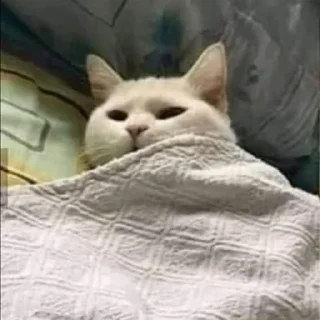 Телеграм стикер 😟 (=)