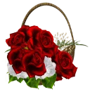 Video sticker 🌹 Heart ♥️ Flower