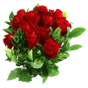 Video sticker 🌹 Heart ♥️ Flower