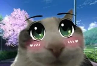 Telegram sticker 🌟 hiiiwires @aqweszxc