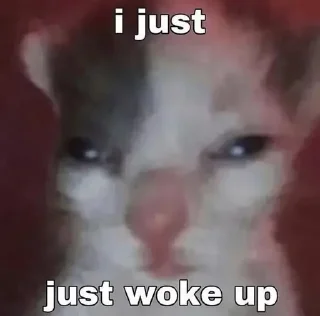 Telegram sticker 😊 sybau