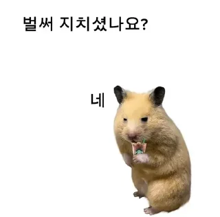 Video sticker 😊 sybau