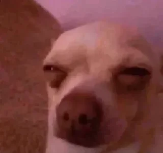 Video sticker 🤓 @QXXXS