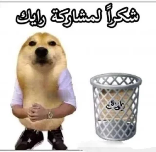 Video sticker 🍣 @fll3iii