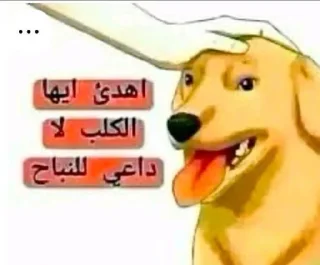 Video sticker 🙋 @fll3iii