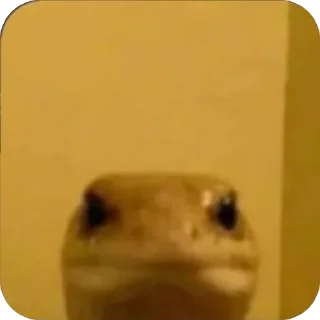 Video sticker 🫥 👍