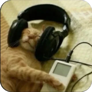 Telegram stiker 😞 👍